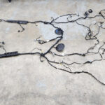 2024-2025 Ford Mustang GT Manual Body Harness OEM